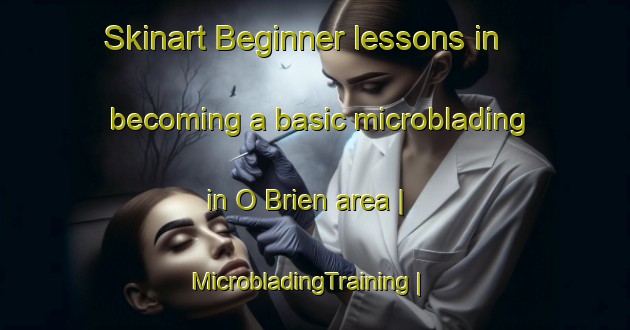 Skinart Beginner lessons in becoming a basic microblading in O Brien area | MicrobladingTraining | MicrobladingClasses | SkinartTraining-Canada